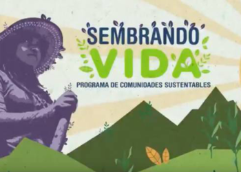Sembrando Vidas busca recomponer el tejido social en el campo