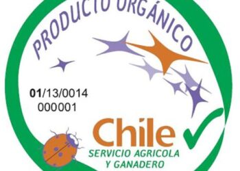 Autoridades chilenas crean sello para certificación de orgánicos