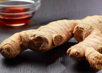 Bebidas funcionales a base de orgánicos y jengibre