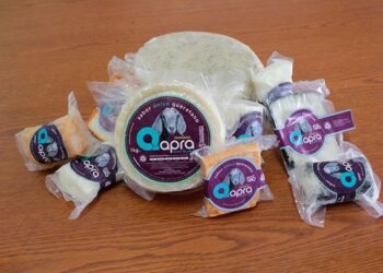 Certifican leche de cabra producida por la Universidad Autónoma de Querétaro