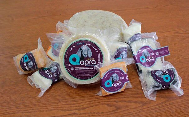 Certifican leche de cabra producida por la Universidad Autónoma de Querétaro