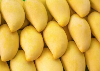 Empresa mexicana vende aguacate y mango a la NASA