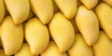 Empresa mexicana vende aguacate y mango a la NASA