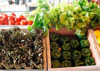 En Michoacán, buscan integrar consejo de producción orgánica