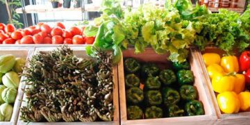 En Michoacán, buscan integrar consejo de producción orgánica