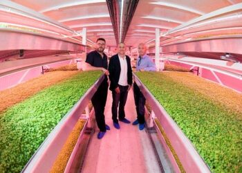 Londres, primer país con granja urbana subterránea y orgánica