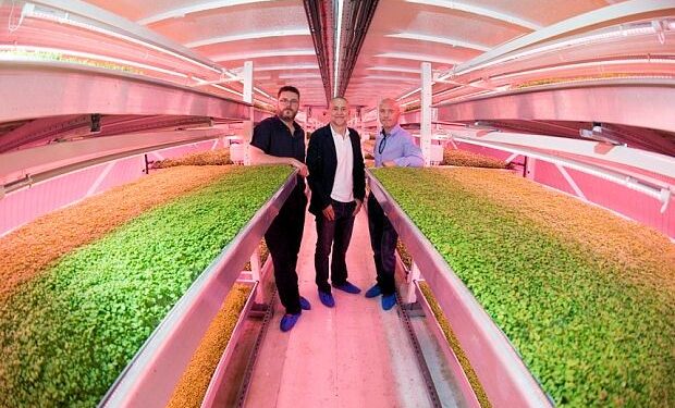 Londres, primer país con granja urbana subterránea y orgánica