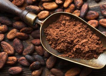 Natural, orgánico y gourmet, cualidades por las que apuestan emprendedores