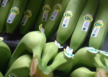 Panamá busca apoyo de España para fortalecer la certificación orgánica