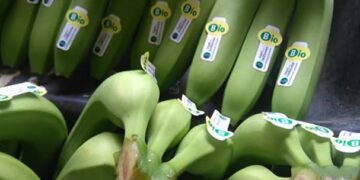 Panamá busca apoyo de España para fortalecer la certificación orgánica