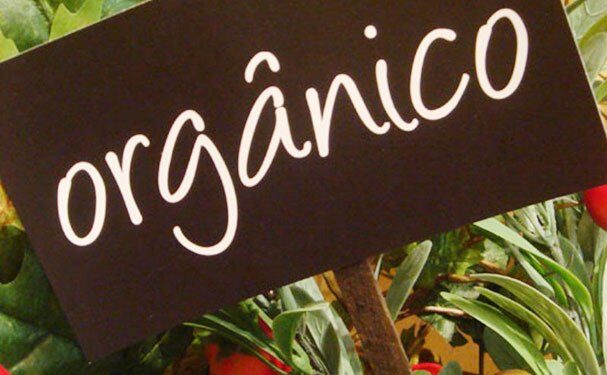 Pide legislador transparentar proceso de certificación orgánica