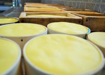 Productoras de Zacatecas emprenden con quesos orgánicos