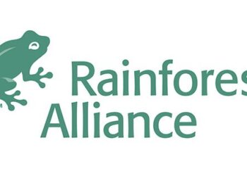 Rainforest Alliance certifica los primeros melones de Sudamérica