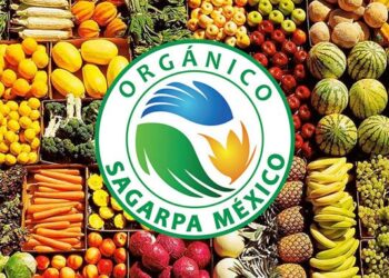 Recibe “Los Flamboyanes” certificación orgánica