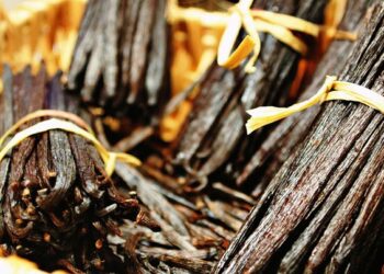 Vainilleros de Papantla reciben certificación orgánica