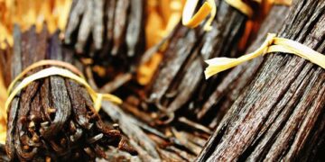 Vainilleros de Papantla reciben certificación orgánica