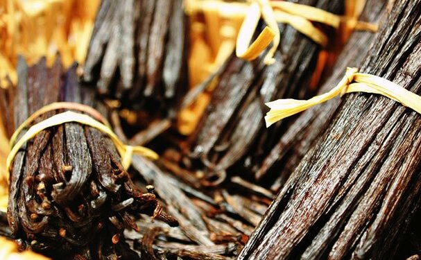 Vainilleros de Papantla reciben certificación orgánica