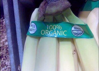 Verifica el USDA actividades de certificadora Mayacert México