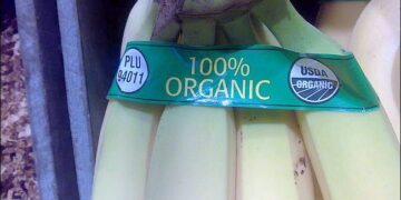 Verifica el USDA actividades de certificadora Mayacert México