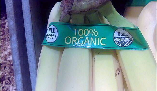 Verifica el USDA actividades de certificadora Mayacert México