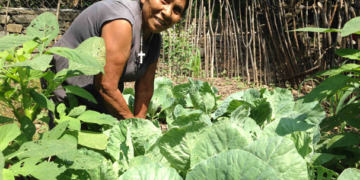 Abatir pobreza en el campo: meta del sexenio de AMLO