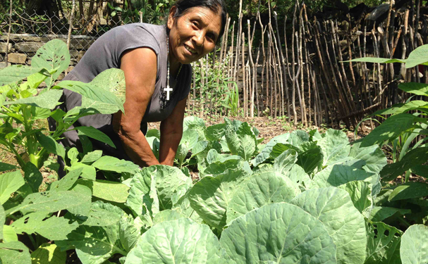 Abatir pobreza en el campo: meta del sexenio de AMLO