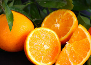 Alistan autoridades plan para equilibrar el mercado de cítricos