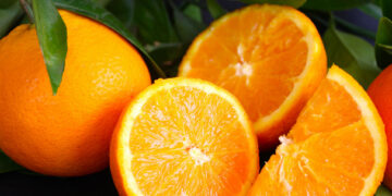 Alistan autoridades plan para equilibrar el mercado de cítricos