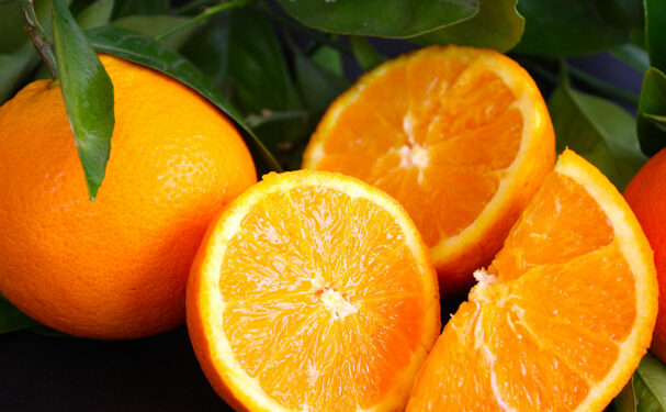 Alistan autoridades plan para equilibrar el mercado de cítricos