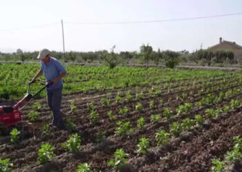 Crece 20% la superficie ecológica mundial