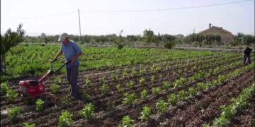 Crece 20% la superficie ecológica mundial