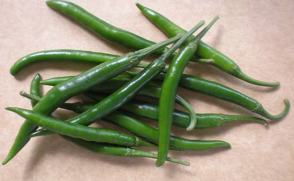 Especialistas del Inifap desarrollan chile serrano con mayor resistencia a enfermedades