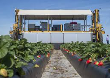 Futuras cosechas en EEUU, en manos de robots