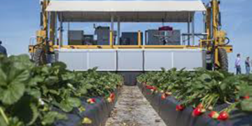 Futuras cosechas en EEUU, en manos de robots