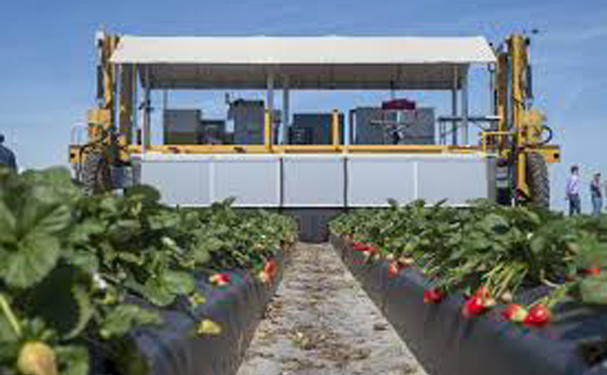 Futuras cosechas en EEUU, en manos de robots