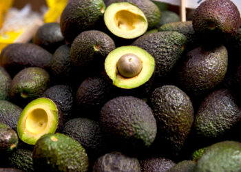 Hueso de aguacate, aliado contra enfermedades cardiovasculares