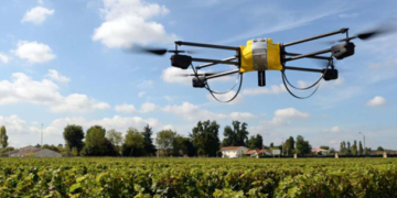 Impulso a la agricultura del Yaqui con drones