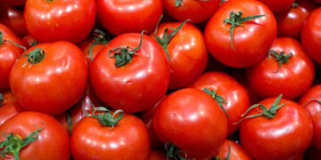 Más impuestos a tomate mexicano de no resolverse controversia con EEUU