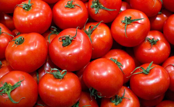 Más impuestos a tomate mexicano de no resolverse controversia con EEUU