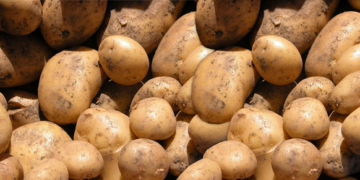 México mantiene cerrada la frontera a papa de EEUU