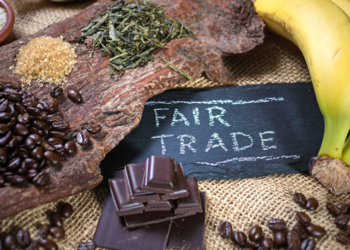 ONG impulsan mercados ecológicos en Mérida