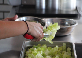 Uno de cada 10 hogares en México compra alimentos orgánicos y light