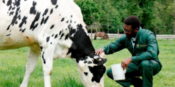 Alemania debe mejorar en etiquetado de bienestar animal