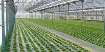 Querétaro solicita a la federación 10.5 mdp para invernaderos