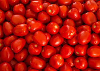 EU anuncia posible guerra comercial por el jitomate mexicano