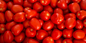 EU anuncia posible guerra comercial por el jitomate mexicano
