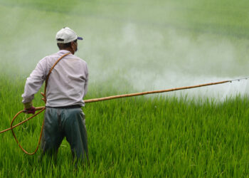 Aprueban actualización del marco regulatorio de plaguicidas