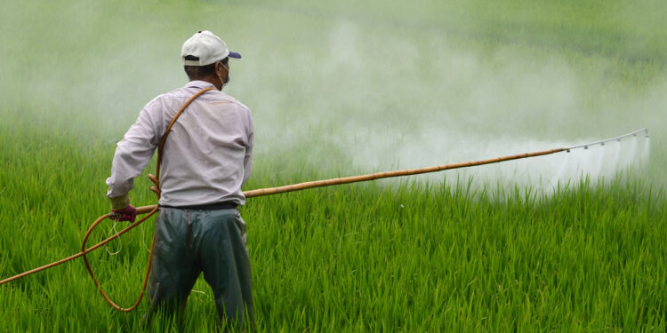 Aprueban actualización del marco regulatorio de plaguicidas