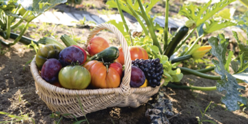 Buenas razones para comprar alimentos ecológicos