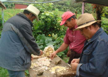 Capacitan a indígenas costarricenses en agroecología